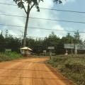 Rubber Plantation Destroying the LiveliHood of Cameroon Communities