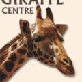 Giraffe Centre