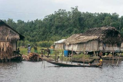 The Niger Delta (file photo).