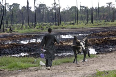 (Photo archive) -  Une zone dévastée par Shell au Nigeria
