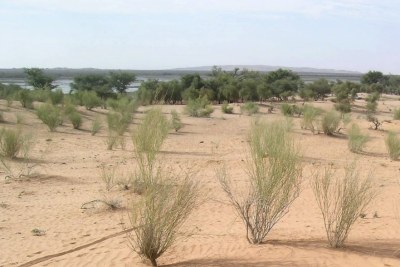 La désertification s'étend au Burkina Faso.