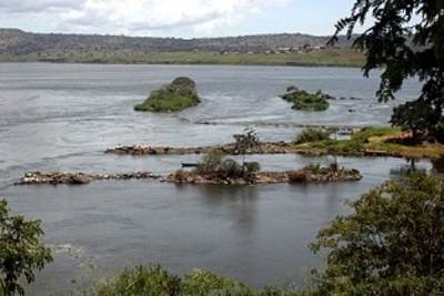 A section of the Nile River.