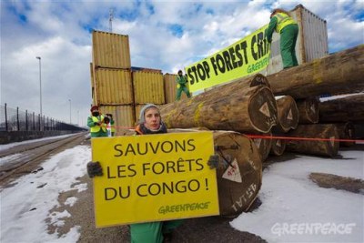 Des activistes protestent contre l'exploitation forestière industrielle en RDC
