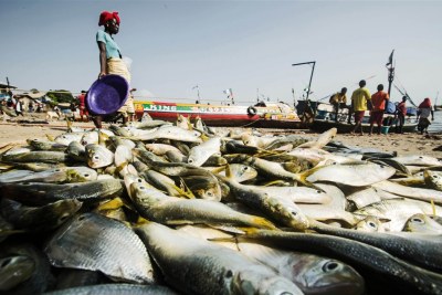 Woman walks past fish laid out (file photo): Illegal fishing rampant in Tanzania waters.