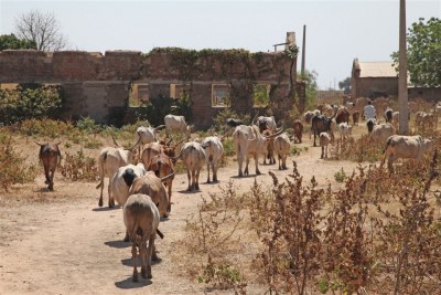 Abandoned buildings in Abyei: One of the areas disputed by the two countries.