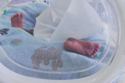 Premature babies are born before the 37th week of pregnancy (file photo).
