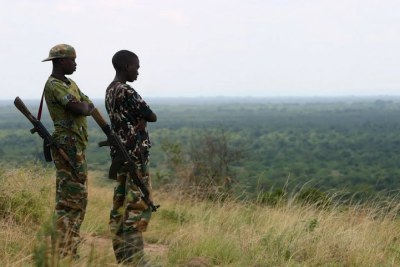 Jeunes homme armées dans le Nord-Kivu