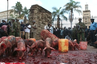 Kenyan civil society groups unleashed pigs and poured jerrycans of blood smack outside Parliament, as a gesture of contempt for MPs - labelled MPigs - for demanding higher pay.