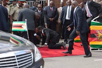 President Robert Mugabe falls on the red carpet (file photo).