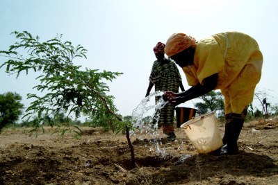 For the people living in the Sahel region of Mali, climate change is not a question of debate; it's an undeniable reality and a pressing concern. For decades the climate has been getting hotter and drier.