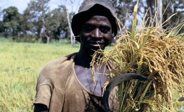Croissance verte - L'Afrique a le plus grand rÃ©servoir de dÃ©veloppement