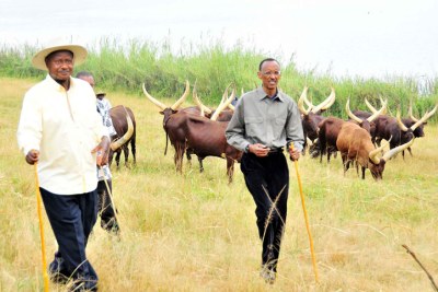 Uganda President Museveni (L) and Rwanda President Paul Kagame (file photo).