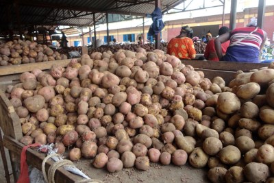 Irish potatoes in Musanze market.