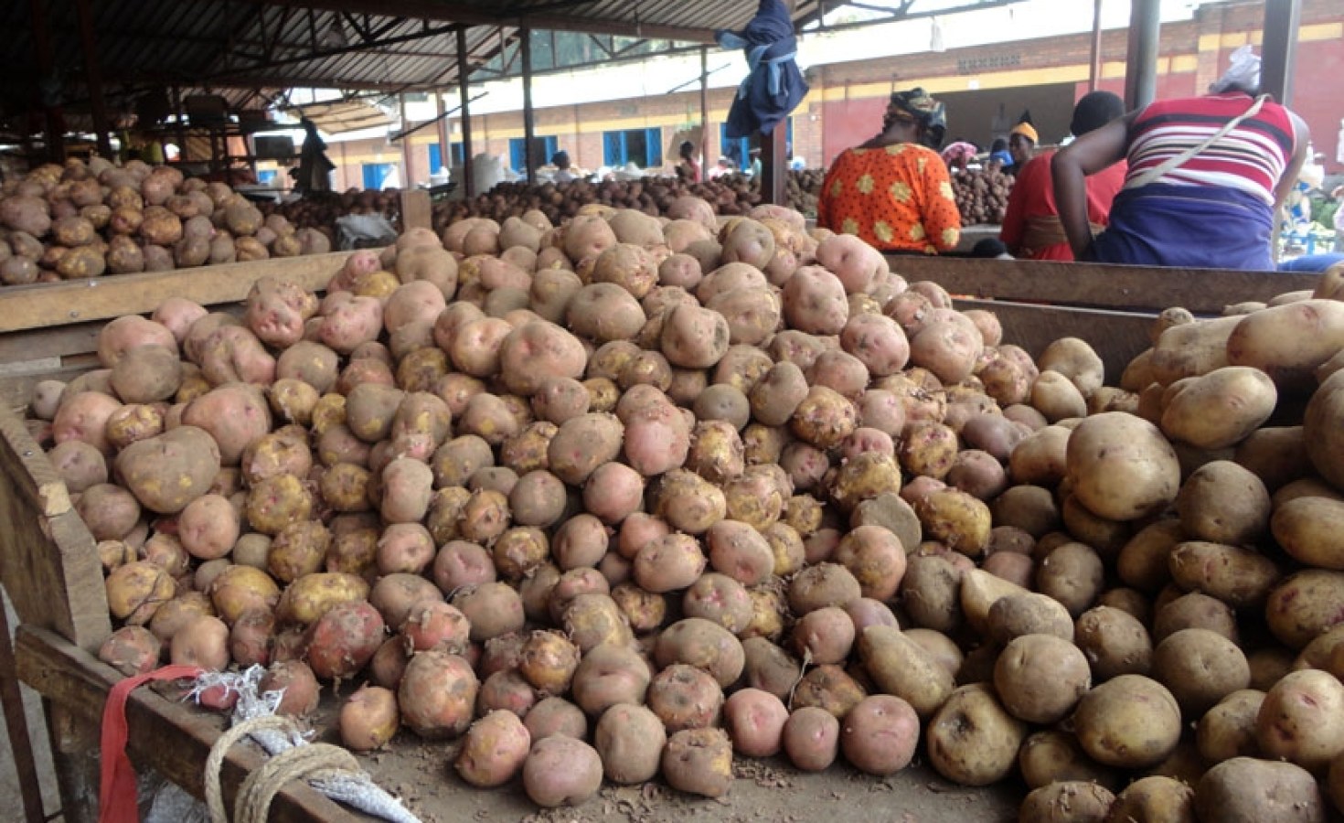 Kenya Government Crackdown On Unregistered Irish Potatoes Dealers kenya-government-crackdown-on-unregistered-irish-potatoes-dealers