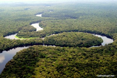 Rivière dans le parc national de la Salonga, Forêt équatoriale, 2005.