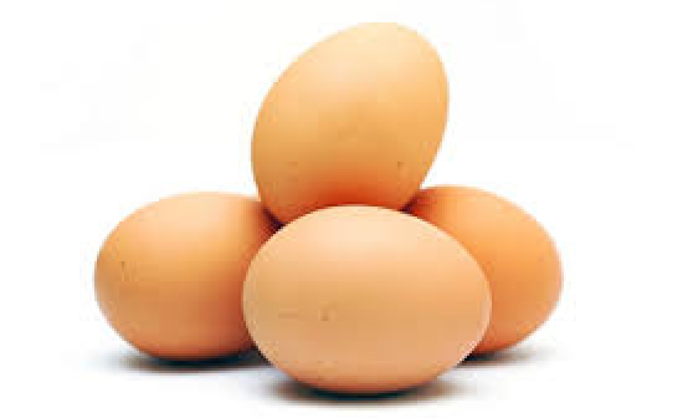 Kenya Price of Eggs Increases in Western Kenya Following Importation Ban
