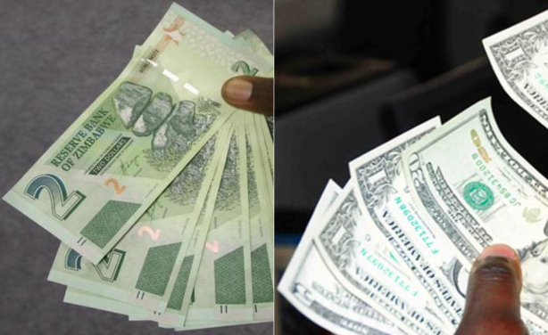 Zimbabwe U S Dollar Notes Vanish Allafrica Photo Allafrica Zimbabwe S
