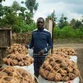 Irish Potato Growing Turns Rwandan Into a Multimillionaire