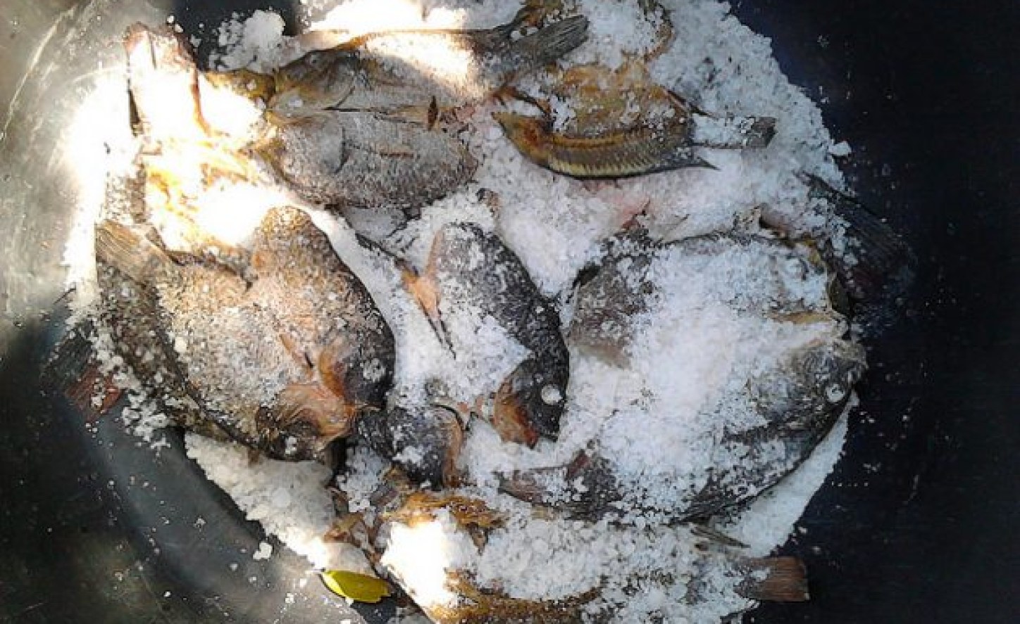 Zambia Improved Fish Processing Brings Dramatic Gains for Women