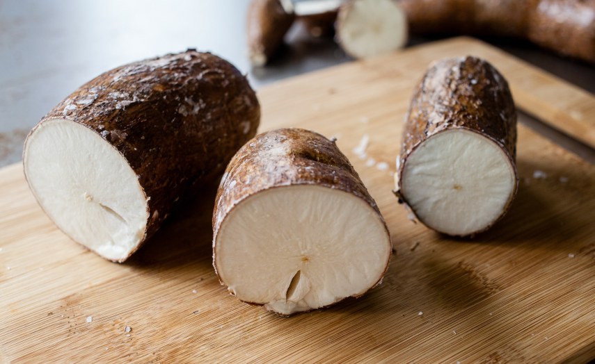Tanzania Indian Investor to Process Cassava Into Animal Feeds