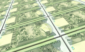 Ethiopia Exchange Rate And The Economy Allafrica Ethiopia Exchange Rate And The Economy