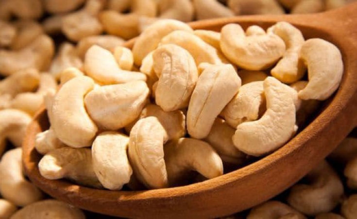 cashew nut trading