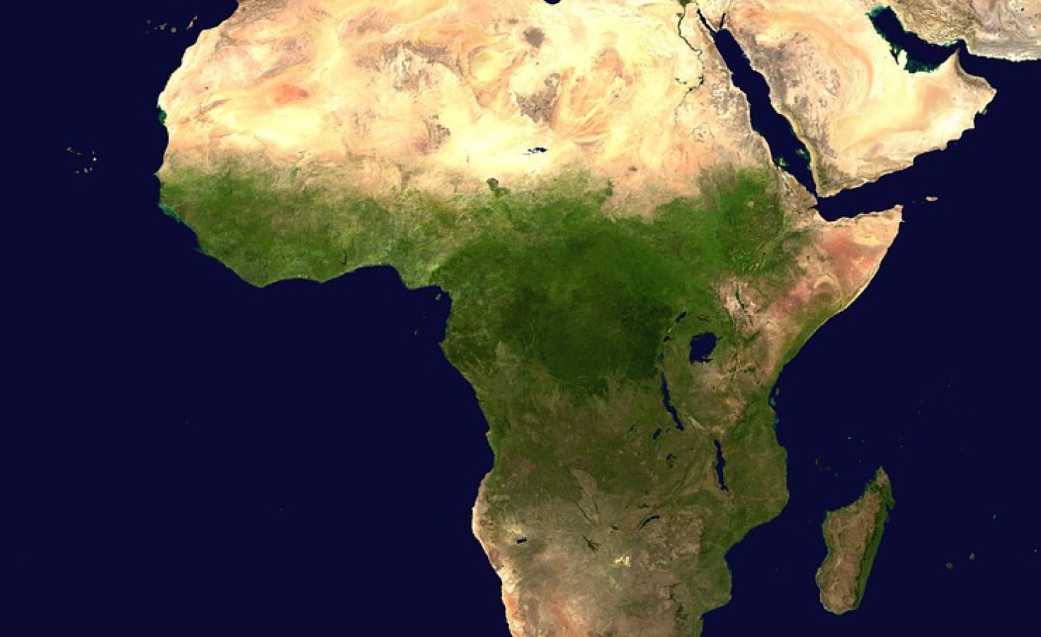 Africa What Happened To Africa s Ambitious Green Belt Project africa-what-happened-to-africa-s-ambitious-green-belt-project