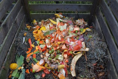 Green waste: Bio-organic waste has immense potential for green energy recovery.