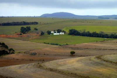 Farmland in the Overberg region of the Western Cape (file photo).