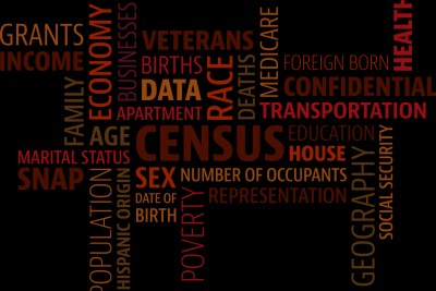 Census (file photo)