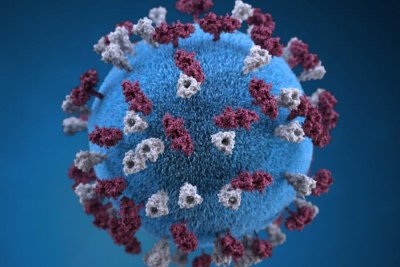A graphic representation of a spherical-shaped, measles virus particle (file photo).