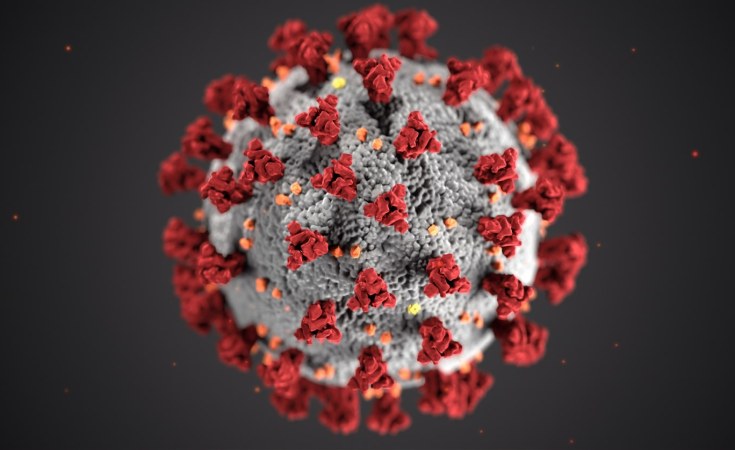 Nigeria Confirm Second Case Of Coronavirus In Ogun State Allafrica Com