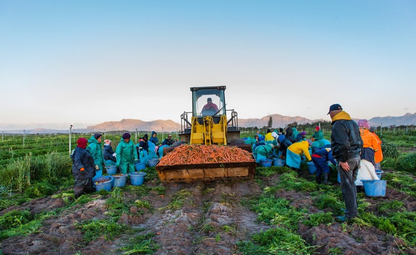 Agricultural economics job in south africa