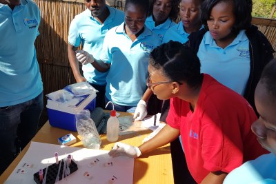 Dry Blood Spot sample collection for Malaria diagnosis.