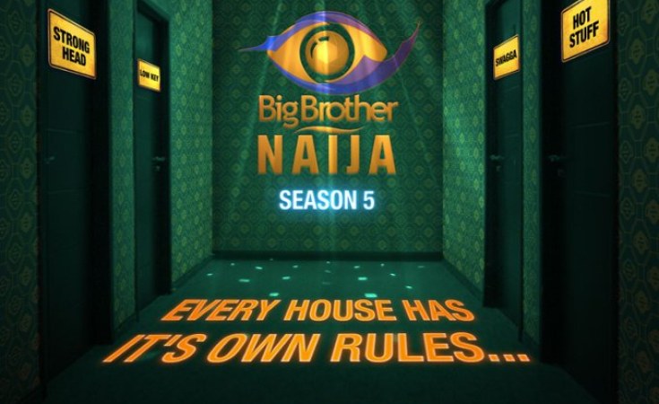 Nigeria Bbnaija 2020 Meet The New Housemates Allafrica Com