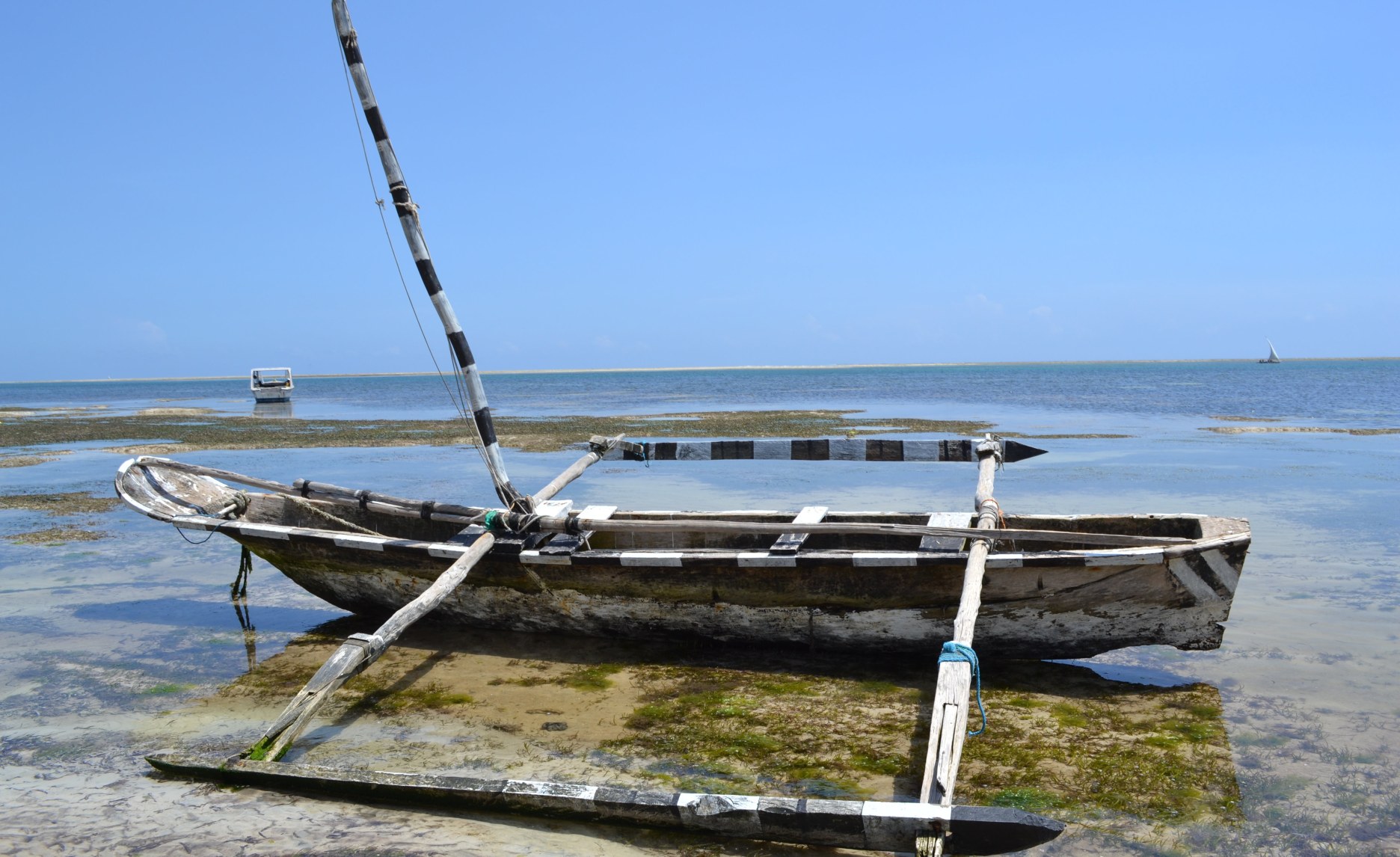 Kenya Reports Kenya, Facing Fish Shortage, Will Not Ban Chinese