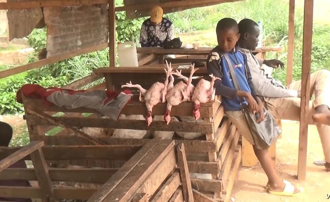 Cameroon: Poultry Farmers Urge Europe to Ease Trade Restrictions Cameroon: Poultry Farmers Urge Europe to Ease Trade Restrictions