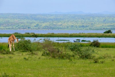 Lake Albert in Uganda (file photo).