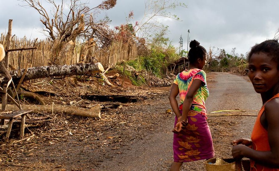 Red Cross Calls on Seychelles to Assist Devastated Madagascar After Cyclone Disasters