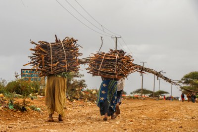 Women carry sticks and firewood they have collected as they return to an IDP camp in Baidoa, Somalia.