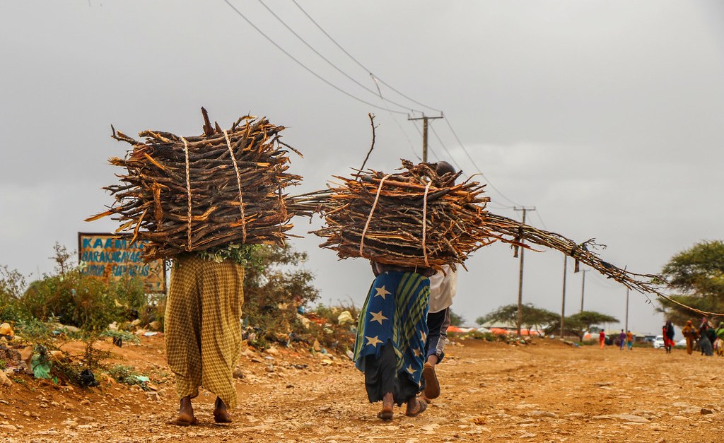 Somalia: Projected Famine in Parts of Somalia this Year as Drought Crisis Cripples the Region Somalia: Projected Famine in Parts of Somalia this Year as Drought Crisis Cripples the Region