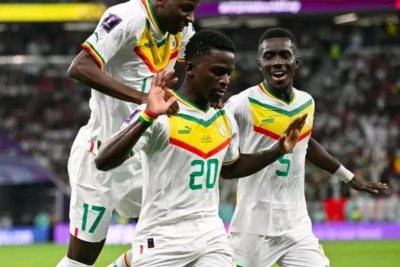 L'équipe nationale du Sénégal est forcée de gagner face à l’Équateur si elle veut continuer l'aventure au Qatar