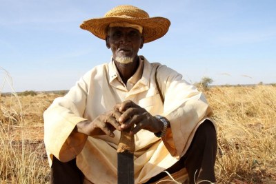 Un habitant du village de Dan Kada, dans la région de Maradi, au Niger, profite d'un programme de nourriture et d'argent contre le travail