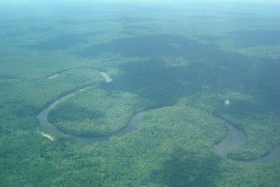 Vue aérienne de la Lukenye et de ses méandres à travers la forêt de plaines dans la Cuvette-Centrale (archive)