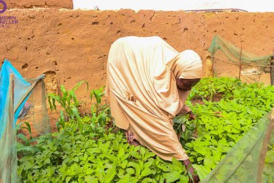 Home gardens can go a long way in reducing hunger and malnutrition.