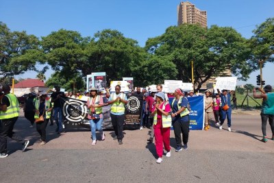 About 100 unemployed doctors, nurses and health workers marched to the Union Buildings in Pretoria on Monday.