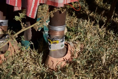 Tanzania’s government is forcibly relocating Indigenous Maasai residents from their homes and ancestral lands in the Ngorongoro Conservation Area (NCA) (file photo).