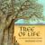 Tree of Life (2002)